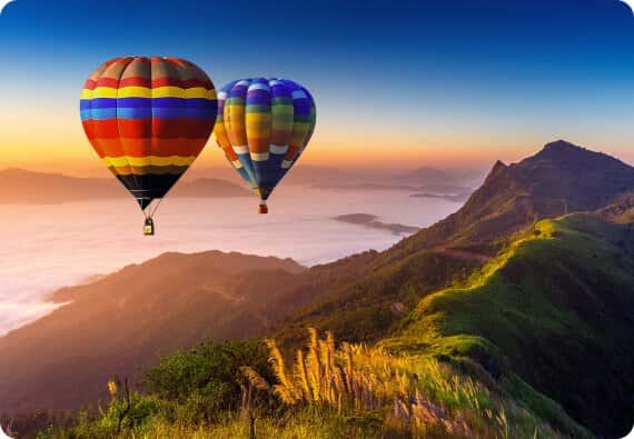 塔普伦寺树根奇观